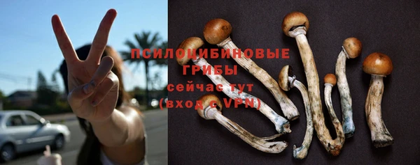амфетамин Богородицк