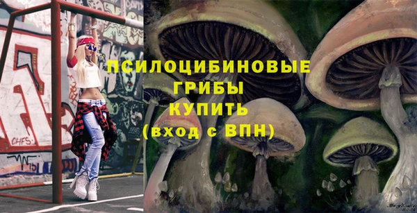 амфетамин Богородицк