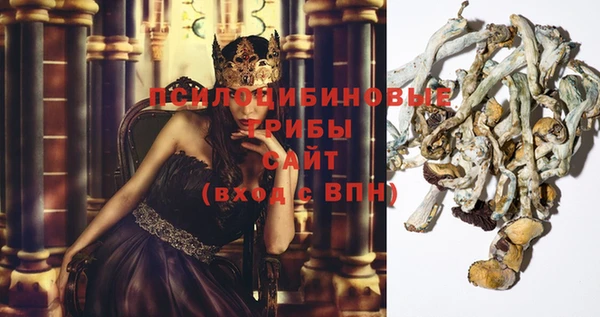 амфетамин Богородицк